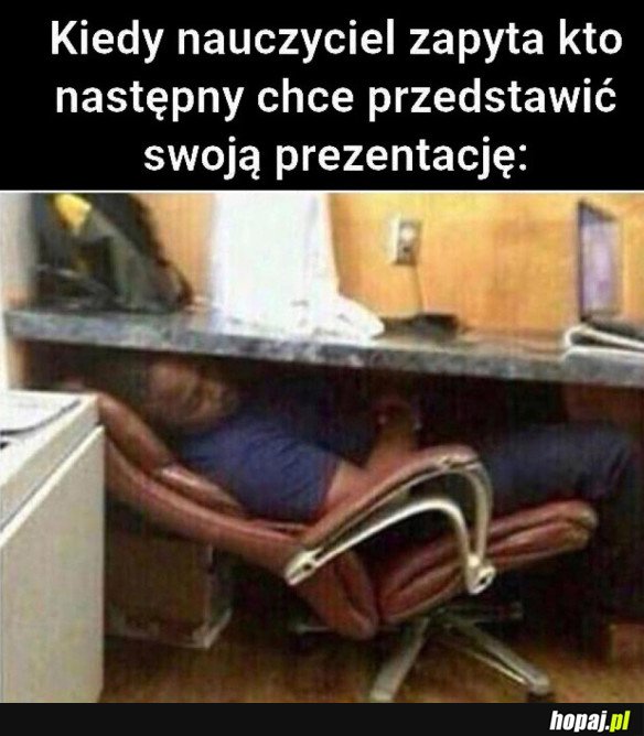 KOT NASTĘPNY