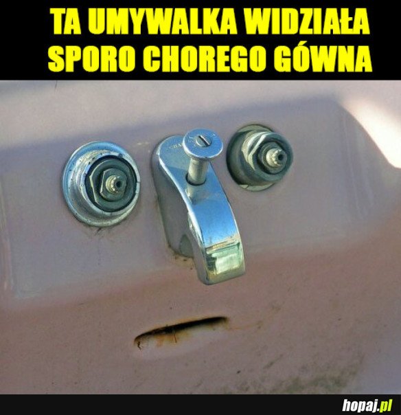 TA UMYWALKA WIDZIAŁA RZECZY