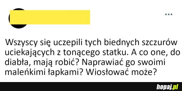 Uciekające szczury