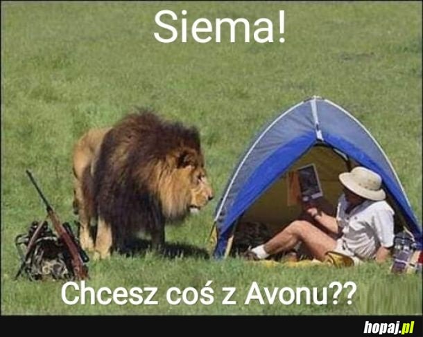 Król sprzedaży