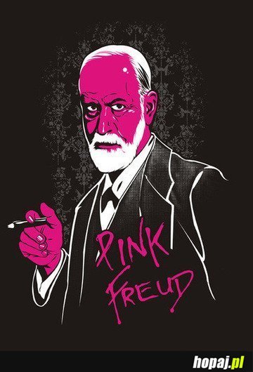 Pink Freud