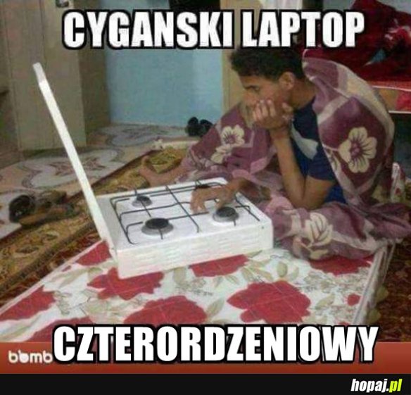 Lapek