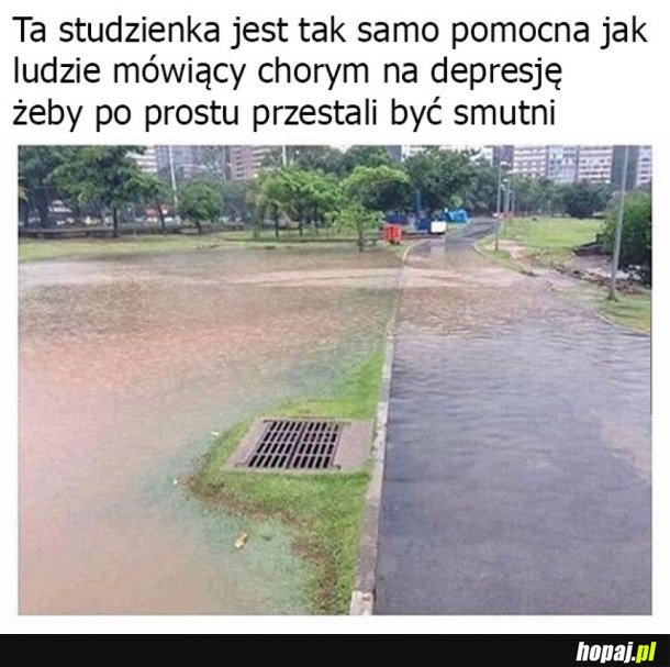 TAKIE JEST MOJE ZDANIE NA ICH TEMAT