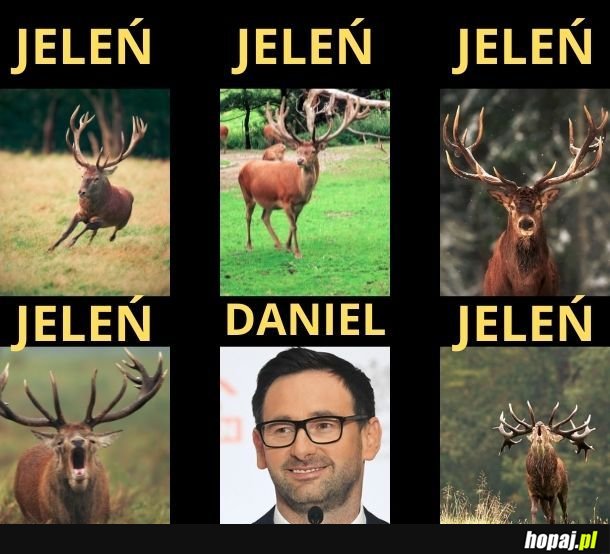 Daniel