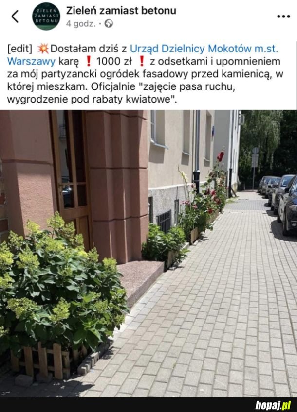 Partyzantka
