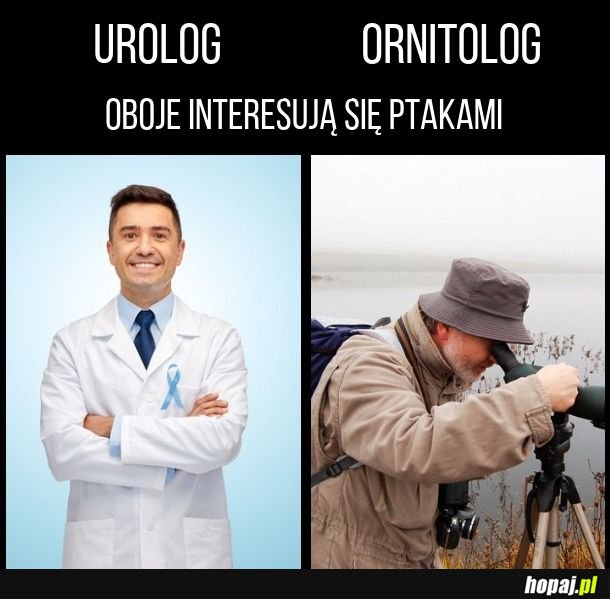 Urolog i ornitolog