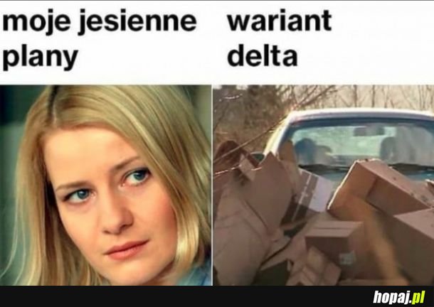 Moje plany na jesień