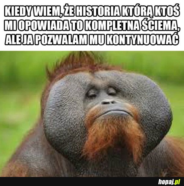 MÓJ DALEJ ŚCIEMNIACZU