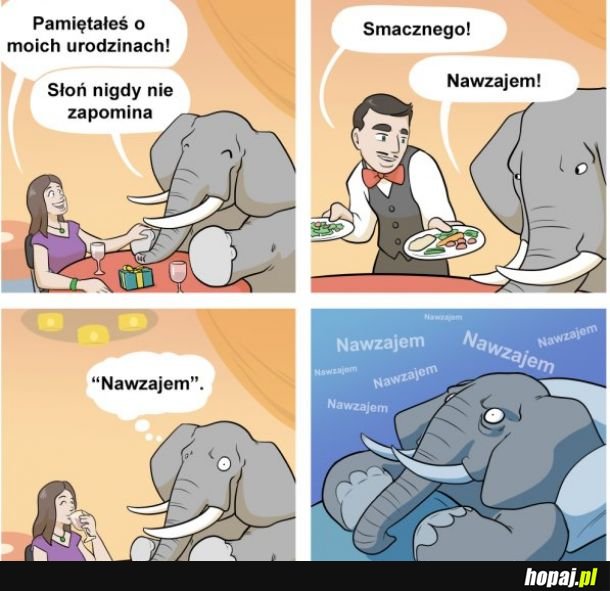 Słoń niezapominalski