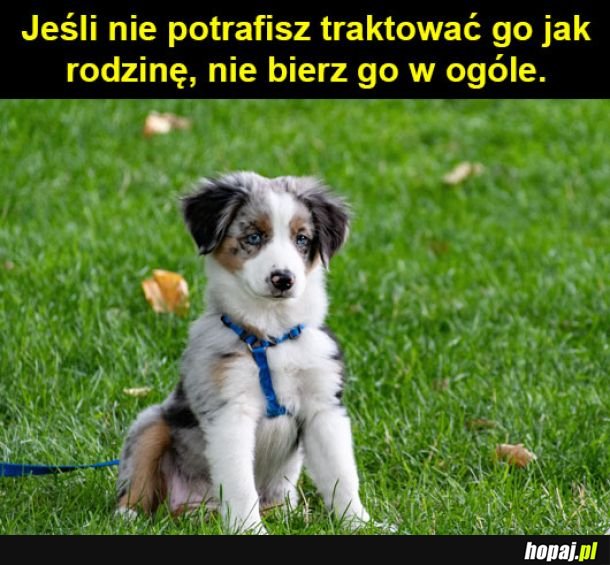 Mądre słowa