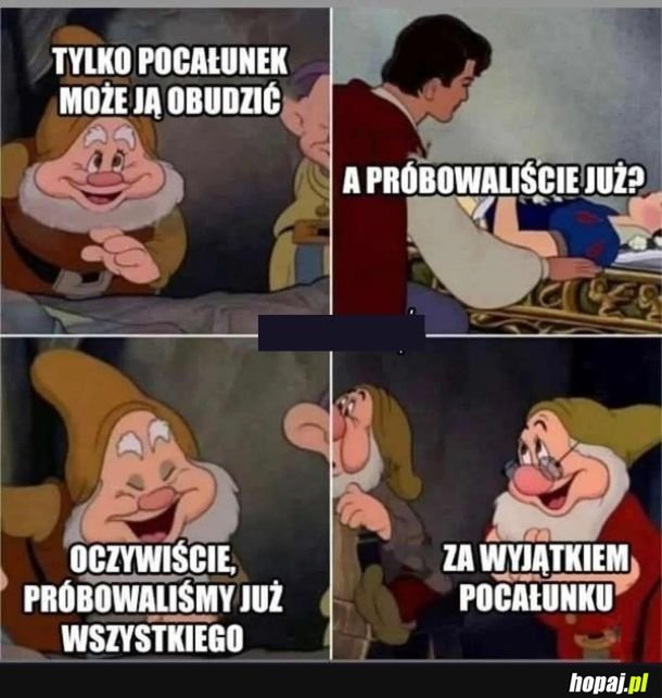 Po co budzić?