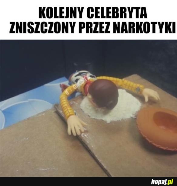 KOLEJNY CELEBRYTA STRACONY