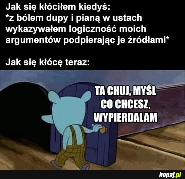 Kłótnie w internecie