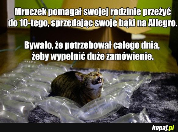 Mruczek pomaga