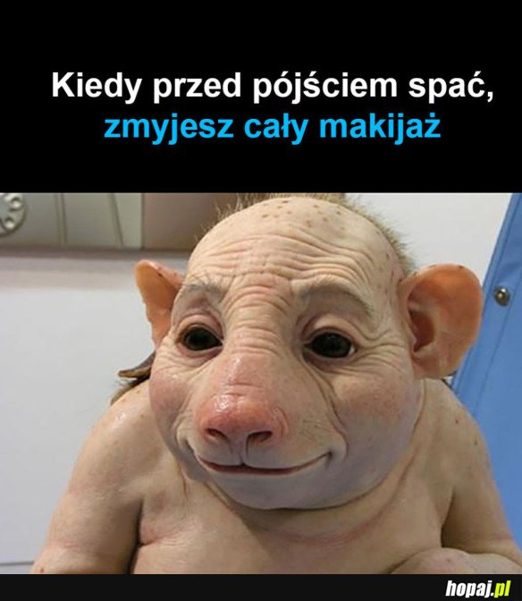 LASKI TAKIE SĄ