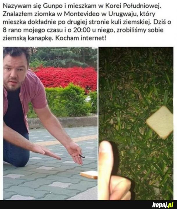 Pomysłowe chłopaki 