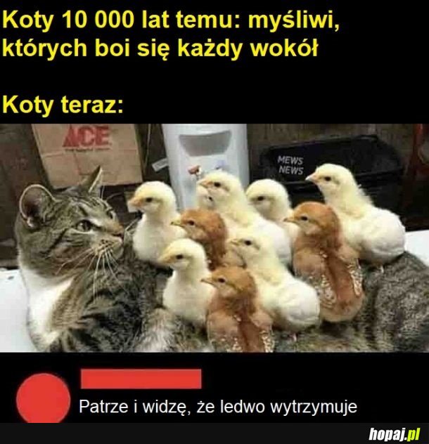 Samokontrola to słowo na dziś