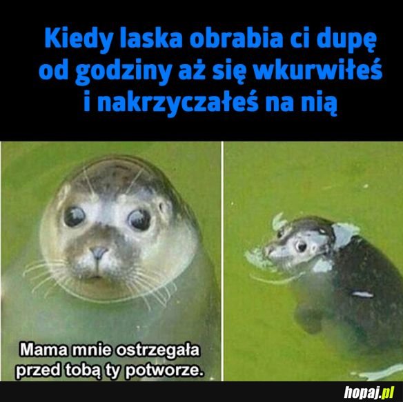 Tak to właśnie wygląda