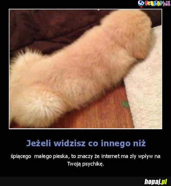 Jeżeli widzisz coś innego