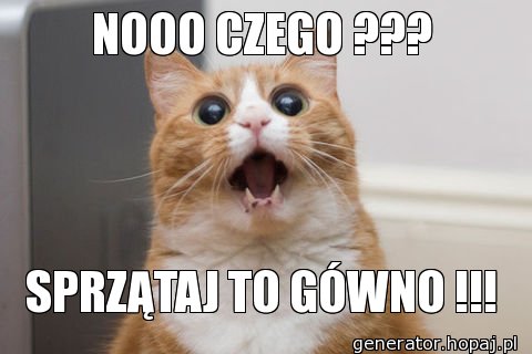 NOOO CZEGO ???