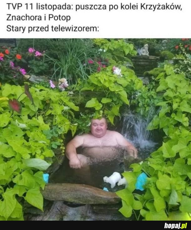 Oglądało się