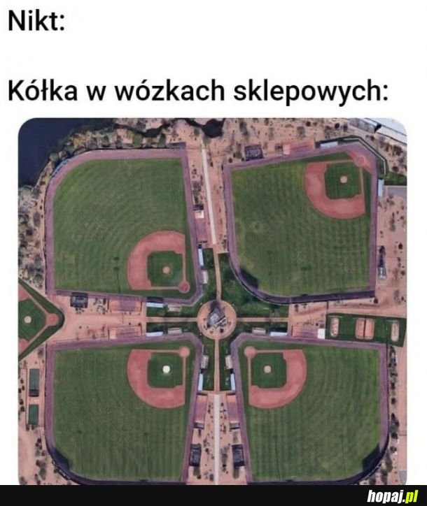 Wózki takie są