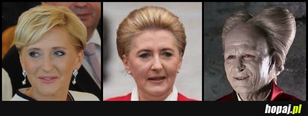 Coś w tym jest 