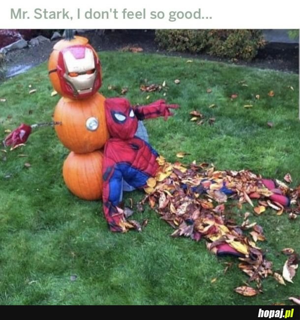 Mr. Stark