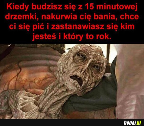 ZA KAŻDYM RAZEM