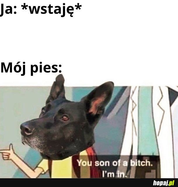 Piesku, nie wstawaj