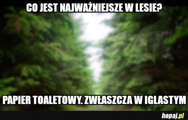 Zagadka na dziś