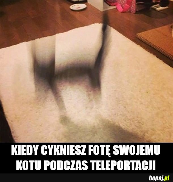 Teleporty