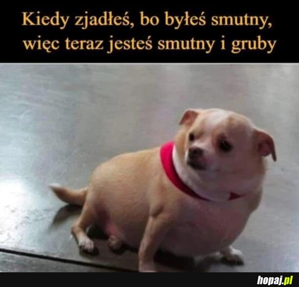 *Smutne, grube dźwięki*