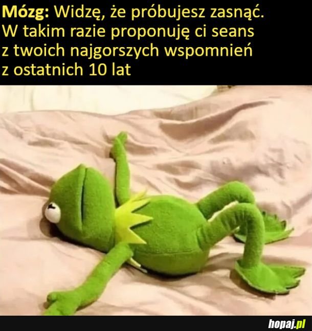 Mózg przed snem