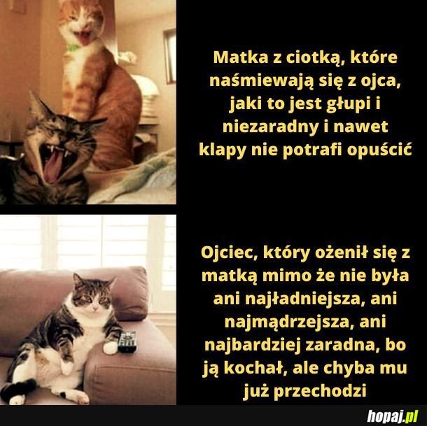 Niefajnie