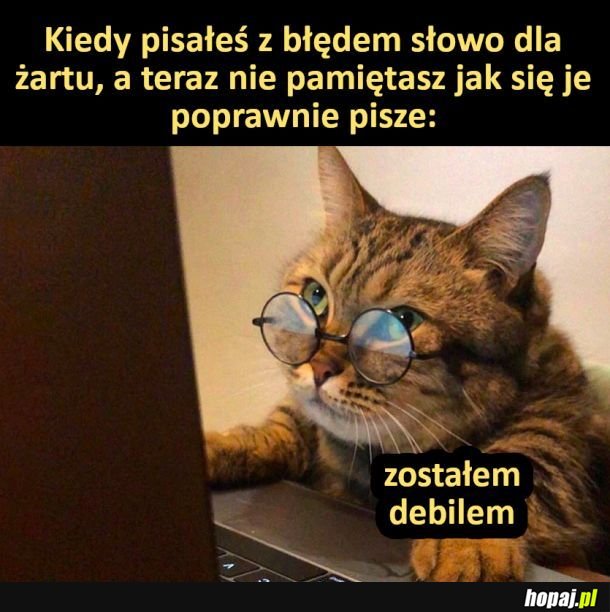 Debil xd