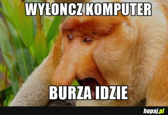 W KAŻDYM POLSKIM DOMU