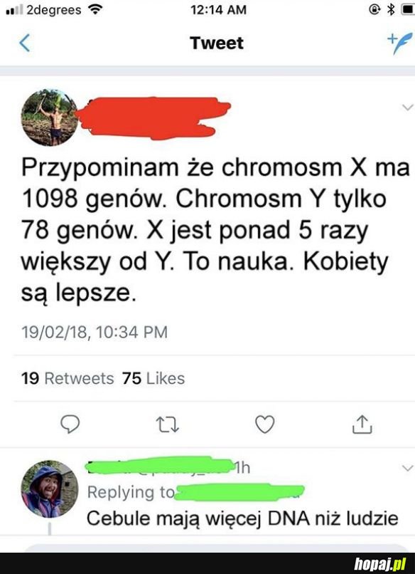 Najdoskonalsza forma życia