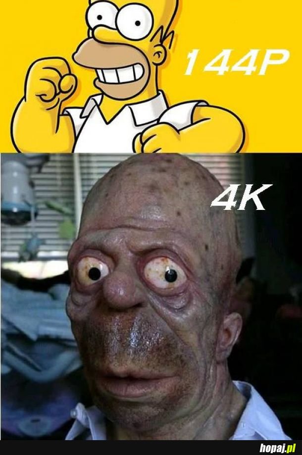 Homer w rzeczywistości