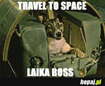 Laika boss :D