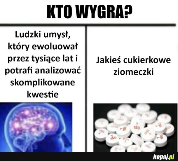 Kto by wygrał?