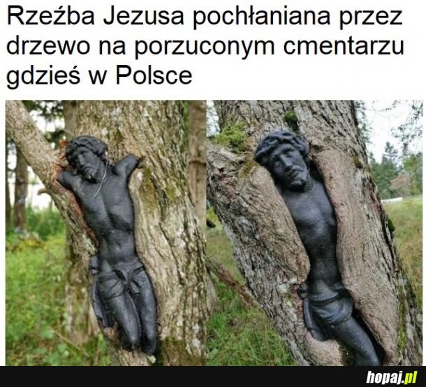 Ktoś coś więcej wie?