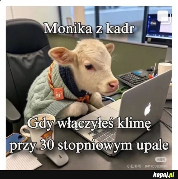 Zimno
