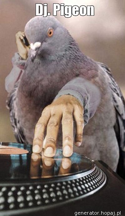    Dj. Pigeon