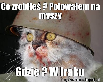 Co zrobiłeś ? Polowałem na myszy