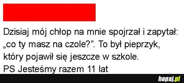 W końcu się przyjrzał