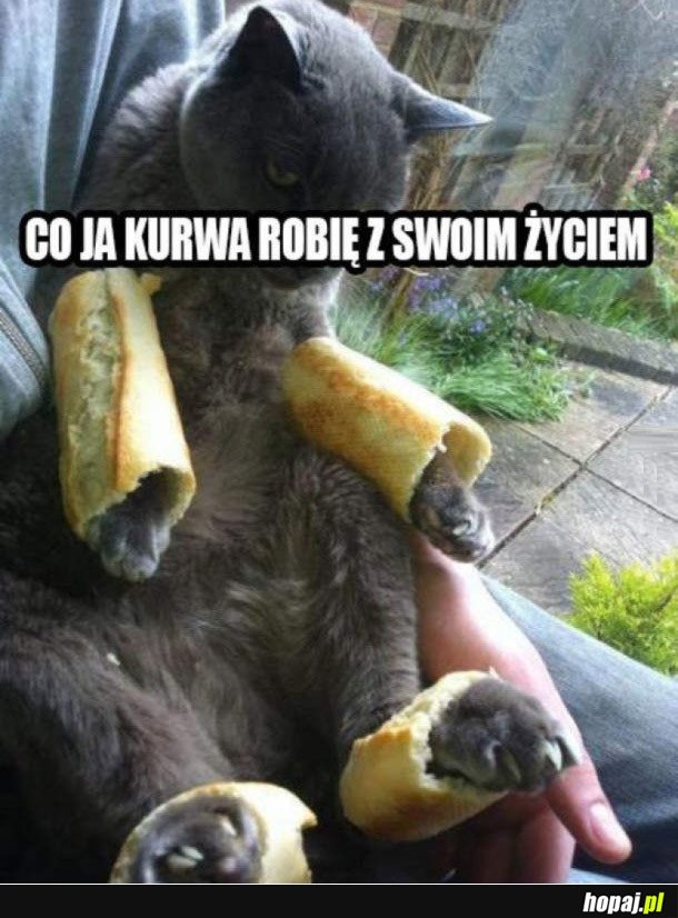 CO JA ROBIĘ