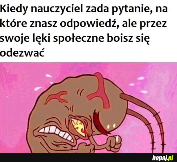 Za każdym razem 