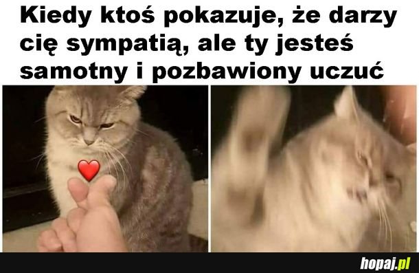 Nieczuły kitku