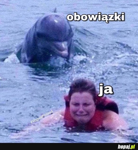 HEHESZKI